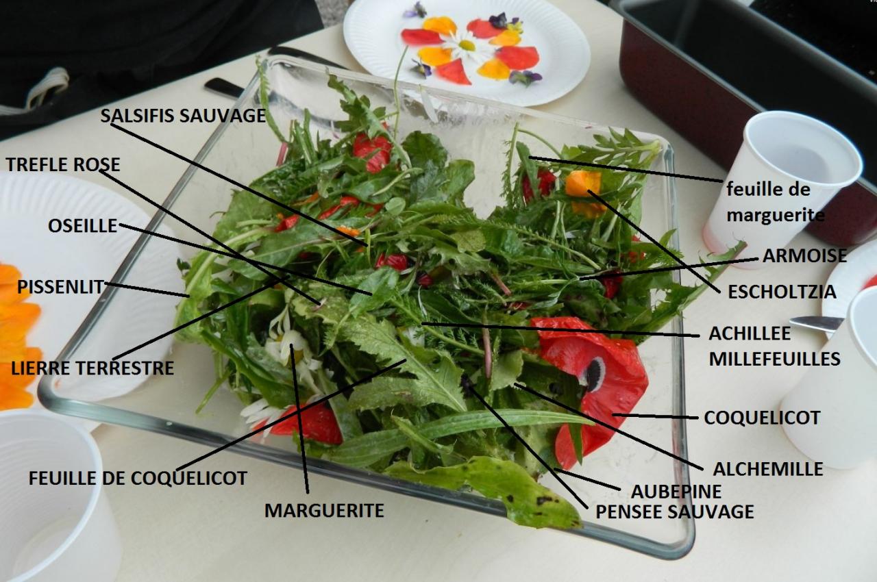 Salade aux plantes sauvages
