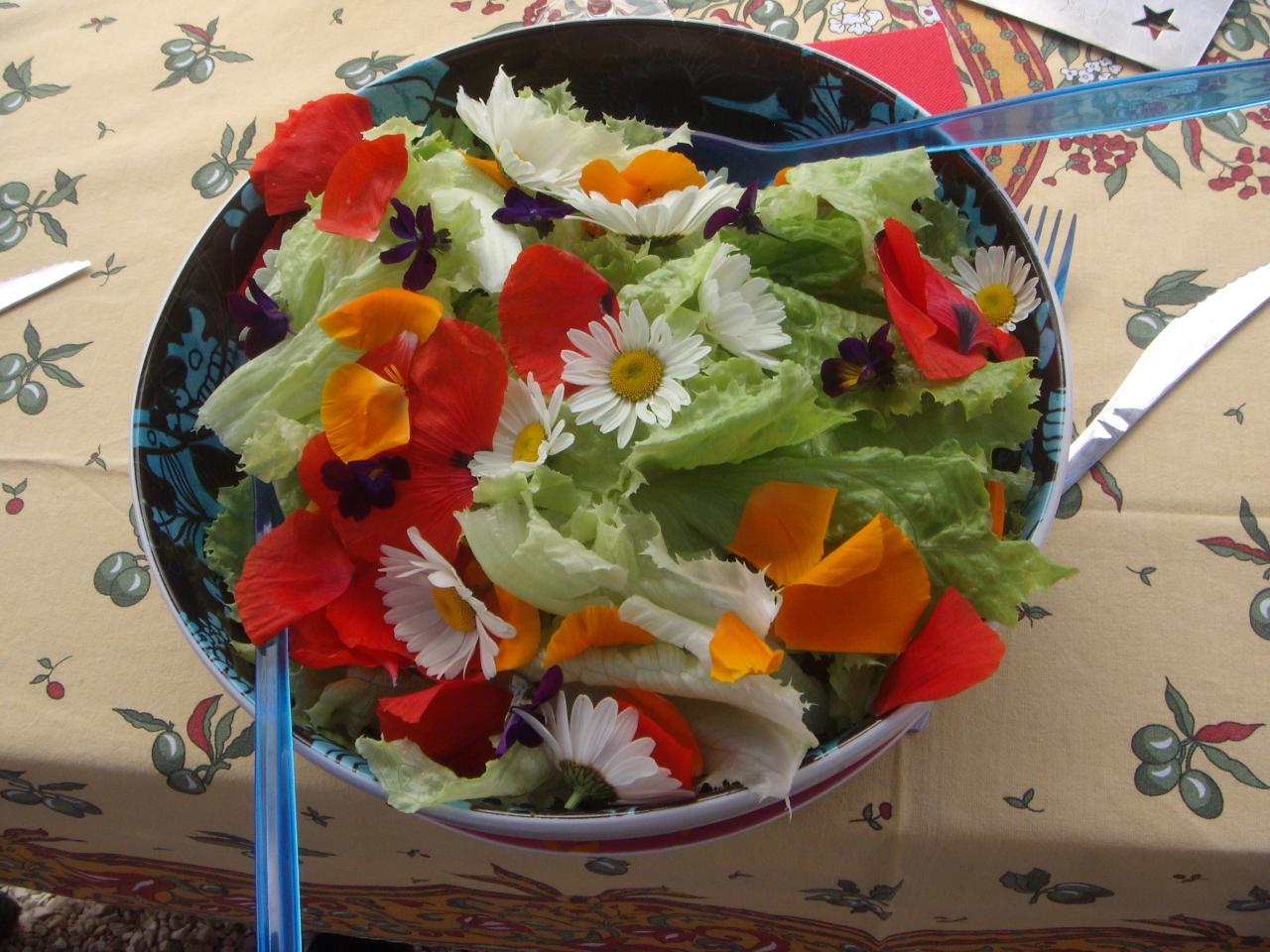 Salade sauvage colorée
